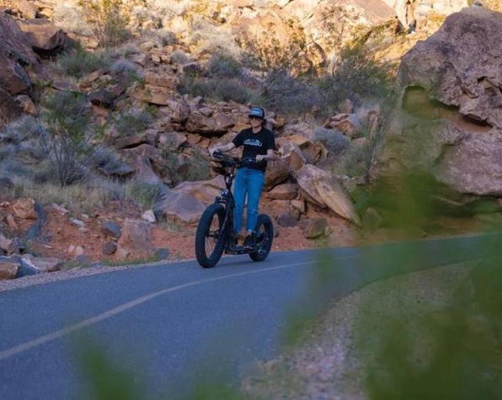 Электроскутер, он же и электровелосипед. Производитель Bakcou  выпустил электроскутер Bakcou Timberwolf